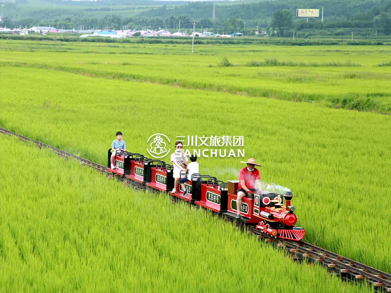 轨道小火车,轨道小火车厂家,轨道小火车价格