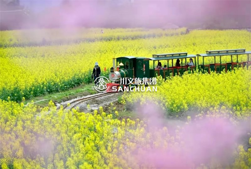 景区上马轨道观光小火车核心目的,轨道火车厂家