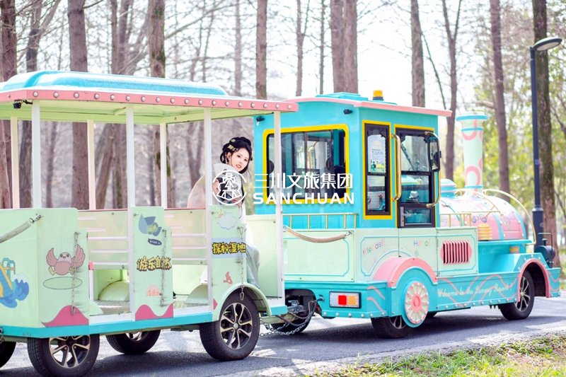 电动观光车选型指南及文旅场景应用全案解析